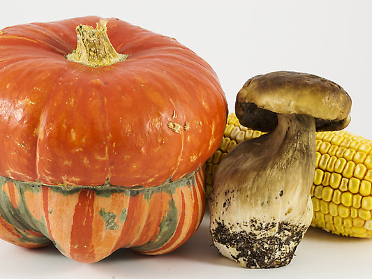 포토 JPG 해외이미지 계절 음식 백그라운드 밭 농업 채소 오렌지 과일 자연 호박 휴가 건강 옥수수 사람없음 장식 빨간색 컬러풀 갈색 노란색 정원 버섯 수확 가을 흰색 신선 먹기 유기농 고립 그런지 해외202004 해외포토 웰빙 산업 컬러 모션 곡류 생태계 파일형식 이미지허브