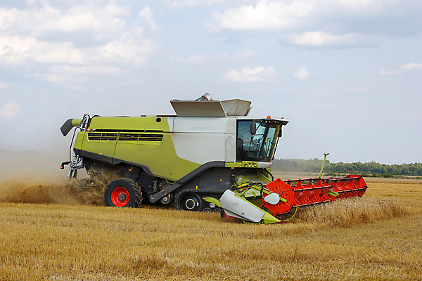 포토 JPG 해외이미지 식물 계절 산업 음식 빵 밭 농업 옥수수 씨앗 사람없음 여름 농작물 농장 농경지 기계 수확 시골 결합 낟알 시리얼 밀 밀짚 밭일 숙성 호밀 해외202004 해외포토 곡류 짚 파일형식 이미지허브