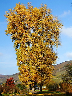포토 JPG 해외이미지 사람없음 해외202004 해외포토 파일형식 이미지허브