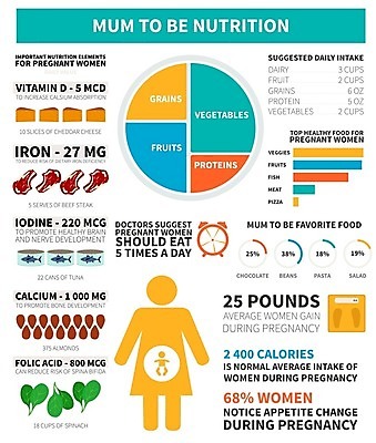 EPS 해외이미지 템플릿 디자인 배너 음식 백그라운드 일러스트 엄마 그래프 사람없음 그래픽 픽토그램 자료 임산부 임신 인포그래픽 정보 플랫 건강식 영양소 해외202004 해외일러스트 가족 파일형식 벡터 이미지허브
