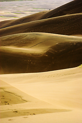 포토 JPG 해외이미지 구름 공원 어린이 모래 여행 패턴 자연 하늘 바람 추상 산 건조 항해 건강 사람 사람없음 여름 모래사장 노란색 산책 하이킹 사막 큼 모래언덕 언덕 명상 질감 산등성이 가뭄 멀리 천연기념물 전국 콜로라도 타격 해외202004 해외포토 자연요소 계절 공공시설 바다 컬러 무늬 배_교통 모션 레저 날씨 휴식 미국 크기 생태계 파일형식 이미지허브