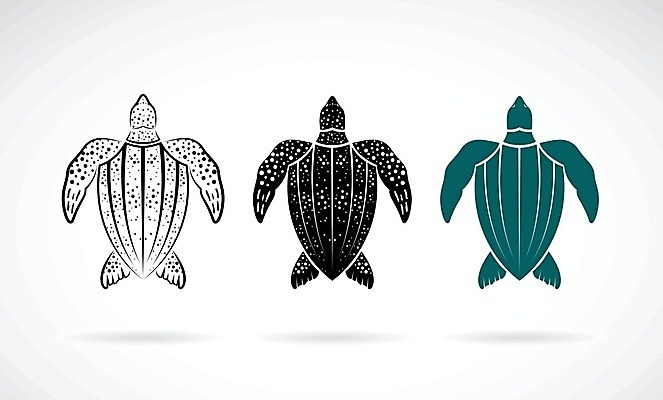 EPS 해외이미지 모양 동물 손 디자인 실루엣 야생동물 바다 일러스트 파충류 자연 추상 그림자 미술 사람없음 그래픽 장식 물 검은색 수중 페인트 수확 껍질 그리기 플랫 거북이 인쇄 스케치 문신 심볼 사인 그림 심플 고립 구스베리 엘리먼트 스타일 해외202004 해외일러스트 자연요소 열매 컬러 무늬 농업 모션 문화예술 촬영기법 신체부위 생태계 파일형식 벡터 이미지허브