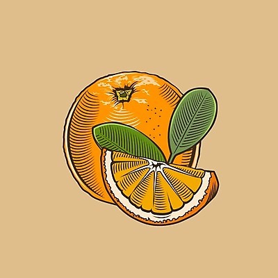 EPS 해외이미지 백그라운드 오렌지 일러스트 사람없음 주황색 해외202004 해외일러스트 컬러 과일 파일형식 벡터 이미지허브