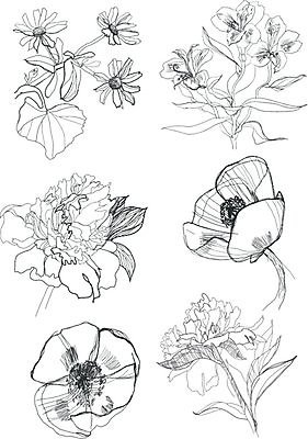 EPS 해외이미지 식물 계절 꽃 야생동물 백그라운드 꽃무늬 패턴 일러스트 자연 잉크 흑백 그래픽 장식 펜 정원 검은색 흰색 나뭇가지 인쇄 스케치 그림 생물학 양귀비 판화 옛날 작약 캐모마일 핸드메이드 해외202004 해외일러스트 나무 동물 교육 컬러 무늬 촬영기법 미술 필기구 허브 생태계 파일형식 벡터 이미지허브