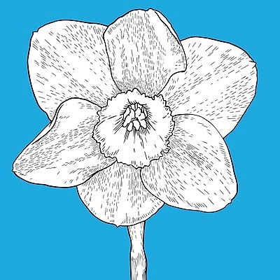 EPS 해외이미지 클립아트 식물 디자인 꽃잎 꽃 실루엣 선 백그라운드 잎 꽃무늬 패턴 일러스트 자연 추상 사랑 미술 그래픽 장식 검은색 봄 벚꽃 흰색 인사 화려 우아함 달콤 낙서 스케치 다발 수집 문신 심볼 라인아트 그림 윤곽 초대 고립 엘리먼트 해외202004 해외일러스트 계절 감정 컬러 컨셉 무늬 문화예술 촬영기법 예절 맛 생태계 파일형식 벡터 이미지허브