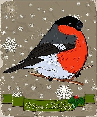 EPS 해외이미지 포스터 리본 어린이 백그라운드 크리스마스장식 크리스마스 겨울 일러스트 조류 동화 휴가 새해 선물 장식 빨간색 초록색 세트 라벨 수확 신용카드 눈송이 12월 수집 복고 서리 엘리먼트 옛날 해외202004 해외일러스트 동물 계절 기념일 컬러 농업 프레임 눈_날씨 사람 금융 날짜 파일형식 벡터 이미지허브