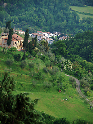 포토 JPG 해외이미지 나무 유럽 밭 자연 아침 산 풍경 사람없음 초록색 여름 평화 환경 계곡 봄 이탈리아 시골 만취 언덕 그림 올리브 포도밭 뿌연 시에나 토스카나 해외202004 해외포토 주간 식물 계절 열매 나라 컬러 컨셉 농업 생태계 술취함 파일형식 이미지허브