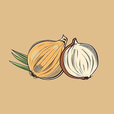 EPS 해외이미지 클립아트 음식 조각 잎 채소 일러스트 포장 자연 양파 디저트 요리 그래픽 장식 컬러풀 꼬리표 라벨 주방 식당 수확 신선 맛 먹기 향신료 그림 에코 유기농 복고 배지 판화 통조림 내추럴 고립 목판화 숙성 채식주의자 해외202004 해외일러스트 식물 웰빙 컬러 컨셉 농업 모션 프레임 미술 환경 상점 생태계 채식 향미료 파일형식 벡터 이미지허브