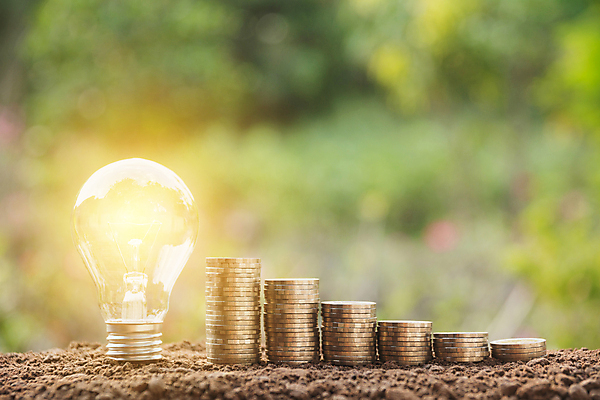 포토 JPG 해외이미지 나무 식물 디자인 백그라운드 컨셉 돈 비즈니스 전구 자연 유리 성공 아이디어 창조 사람없음 금융 경제 빛 쌓기 동전 힘 장비 에너지 성장 흰색 램프 시장 재산 황금 주식 투자 혁명 광 해외202004 해외포토 컬러 모션 재질 조명 생태계 파일형식 이미지허브