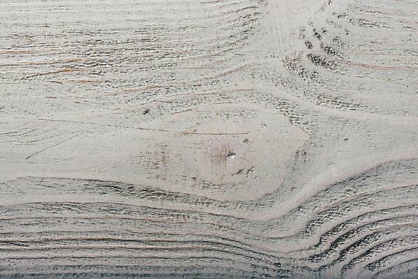 포토 JPG 해외이미지 나무 백그라운드 근접촬영 사람없음 목재 흰색 질감 카피스페이스 해외202004 해외포토 식물 뷰포인트 컬러 재료 공백 파일형식 이미지허브