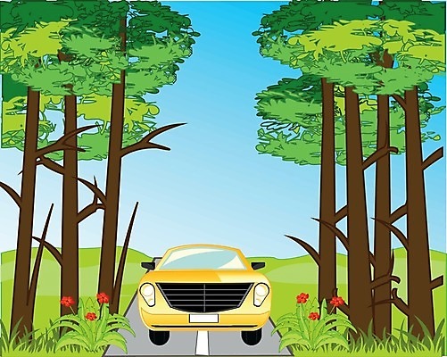 EPS 해외이미지 나무 공원 꽃 도로 일러스트 자동차 자연 풍경 목재 여름 아스팔트 지역 루트 해외202004 해외일러스트 식물 계절 공공시설 길 육상교통 재료 교통시설 생태계 파일형식 벡터 이미지허브