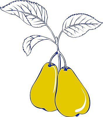 EPS 해외이미지 식물 디자인 음식 잎 2 다이어트 과일 일러스트 디저트 건강 씨앗 그래픽 초록색 노란색 정원 침묵 주스 흰색 신선 달콤 스케치 먹기 심볼 오브젝트 사인 그림 유기농 꿀 내추럴 숙성 해외202004 해외일러스트 웰빙 음료 컬러 모션 미술 소리 맛 파일형식 벡터 이미지허브