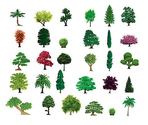 EPS 해외이미지 나무 식물 계절 공원 줄기 단풍 잎 농업 일러스트 자연 손바닥 잔디 목재 빨간색 초록색 여름 정원 일본 성장 가을 나뭇가지 소나무 고독 숲 땅 수집 싱글 올리브 원예 조경 포도나무 무화과 고립 미루나무 삼나무 자취 혼자 해외202004 해외일러스트 손 공공시설 열매 감정 산업 아시아 컬러 과일 재료 취미 과일나무 생태계 파일형식 벡터 이미지허브