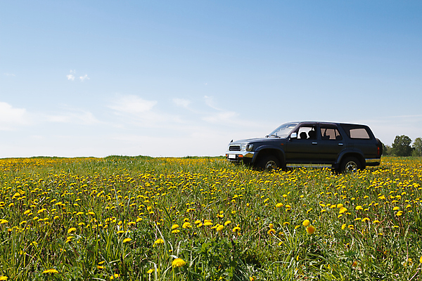 포토 JPG 해외이미지 꽃 여행 밭 자동차 자연 하늘 풍경 사람없음 초록색 여름 노란색 봄 시골 개화 민들레 수평선 해외202004 해외포토 식물 계절 육상교통 컬러 농업 생태계 파일형식 이미지허브