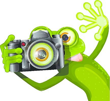 EPS 해외이미지 동물 행복 일러스트 자연 개구리 빨간색 초록색 카메라 기쁨 혀 사진사 호기심 도마뱀 관심 동물상 섬광 식욕 해외202004 해외일러스트 감정 컬러 컨셉 파충류 양서류 전자제품 조형물 입 작가 생태계 파일형식 벡터 이미지허브