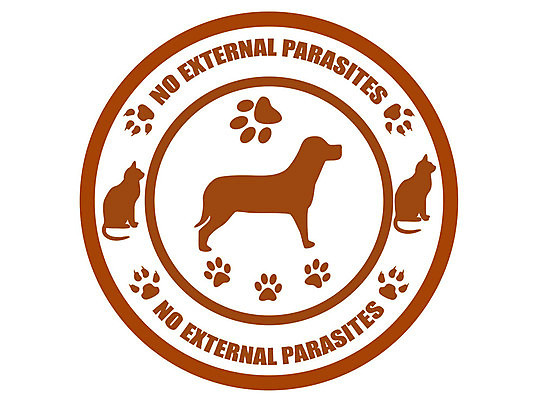 EPS 해외이미지 동물 디자인 백그라운드 일러스트 건강 병원 반려동물 약 고양이 의사 개 강아지 심볼 문서 고무 우표 수의사 송곳니 유래 해외202004 해외일러스트 포유류 의학 의료진 치아 파일형식 벡터 이미지허브