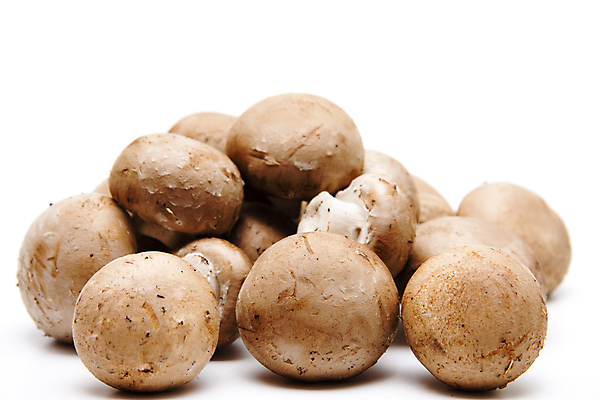 포토 JPG 해외이미지 음식 채소 사람없음 갈색 식사 버섯 수확 껍질 신선 맛 먹기 피부 흰배경 날것 해외202004 해외포토 컬러 백그라운드 컨셉 농업 모션 신체부위 흰색 파일형식 이미지허브