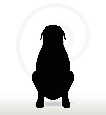 EPS 해외이미지 모양 동물 실루엣 새끼 포즈 일러스트 자연 그림자 사람없음 그래픽 검은색 개 강아지 스케치 흰배경 사냥개 윤곽 송곳니 고립 엘리먼트 해외202004 해외일러스트 컬러 백그라운드 포유류 촬영기법 미술 반려동물 흰색 치아 생태계 파일형식 벡터 이미지허브