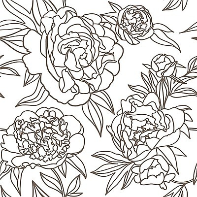 EPS 해외이미지 디자인 꽃 종이 선 결혼 백그라운드 잎 꽃무늬 패턴 일러스트 자연 벽지 추상 흑백 미술 그래픽 장식 여름 유행 일본 봄 수확 벚꽃 흰색 직물 화려 우아함 인쇄 그림 질감 복고 엘리먼트 작약 스타일 해외202004 해외일러스트 식물 계절 아시아 컬러 컨셉 무늬 농업 문화예술 촬영기법 이벤트 생태계 파일형식 벡터 이미지허브