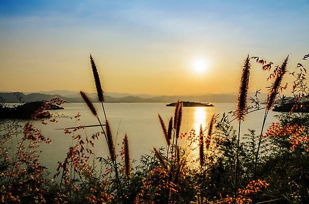 포토 JPG 해외이미지 나무 공원 꽃 호수 섬 여행 꽃무늬 오렌지 태국 자연 하늘 산 국립공원 풍경 사람없음 야외 물 여름 강 햇빛 태양 반사 노란색 일출 일몰 저녁 언덕 각도 장면 내추럴 해외202004 해외포토 자연요소 식물 계절 공공시설 아시아 컬러 무늬 과일 노을 야간 생태계 파일형식 이미지허브