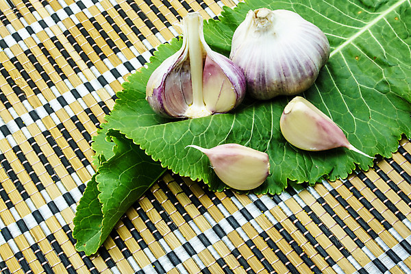 포토 JPG 해외이미지 식물 음식 백그라운드 채소 재료 자연 건강 마늘 요리 사람없음 초록색 수확 시골 신선 허브 향신료 유기농 날것 피클 숙성 오이피클 절임 채식주의자 핸드메이드 해외202004 해외포토 웰빙 컬러 농업 생태계 채식 향미료 파일형식 이미지허브