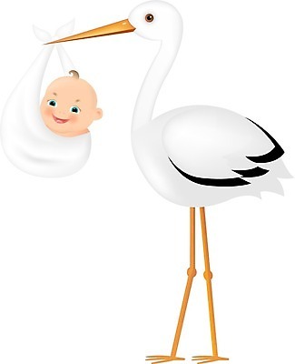 EPS 해외이미지 동물 디자인 행복 어린이 백그라운드 일러스트 가족 조류 엄마 새로움 기념 선물 사랑 소년 임신 수확 축하 아기 신생아 인사 출산 신용카드 발표 생일 달콤 만화 오브젝트 그림 복고 엽서 샤워실 황새 해외202004 해외일러스트 기념일 남자 감정 컨셉 농업 관계 사람 금융 예절 맛 편지 샤워시설 파일형식 벡터 산업 이벤트 경제 시설 이미지허브