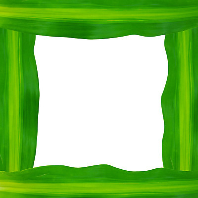 포토 JPG 해외이미지 나무 식물 백그라운드 잎 패턴 자연 추상 새로움 프레임 건강 사람없음 야외 초록색 여름 빛 환경 정원 성장 흰색 나뭇가지 신선 떨어짐 숲 묘사 에코 유기농 질감 내추럴 생태학 해외202004 해외포토 웰빙 계절 교육 컬러 컨셉 무늬 생태계 파일형식 이미지허브