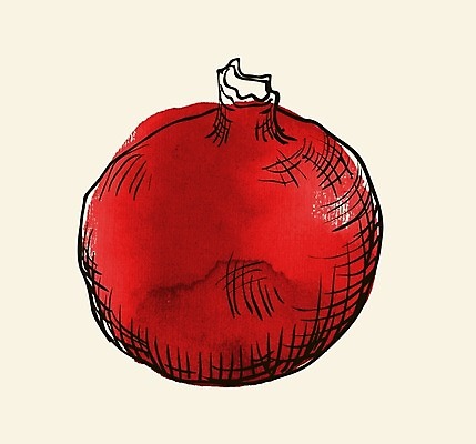 EPS 해외이미지 디자인 음식 백그라운드 농업 다이어트 과일 일러스트 자연 수채화 건강 미술 그래픽 빨간색 여름 컬러풀 페인트 수확 흰색 신선 달콤 맛 스케치 오브젝트 그림 유기농 질감 날것 내추럴 숙성 채식주의자 해외202004 해외일러스트 웰빙 계절 산업 컬러 컨셉 문화예술 생태계 채식 파일형식 벡터 이미지허브