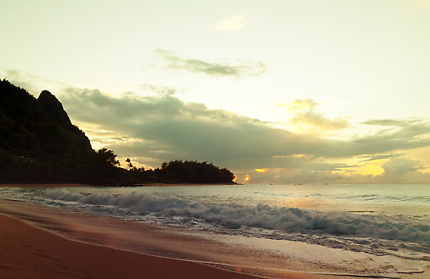 포토 JPG 해외이미지 나무 실루엣 모래 파도 바다 섬 여행 백그라운드 자연 휴가 휴식 열대 손바닥 풍경 사람없음 야외 물 여름 모래사장 여행객 일몰 놀람 수확 휴양지 장면 감탄 이국적 특별함 파라다이스 환상 카피스페이스 해외202004 해외포토 자연요소 식물 손 계절 감정 컨셉 농업 촬영기법 표정 사람 노을 공백 장소 생태계 파일형식 이미지허브