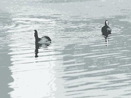 EPS 해외이미지 동물 남자 호수 야생동물 일러스트 가족 자연 조류 엄마 오리 미술 성인 야외 물 빛 강 반사 검은색 회색 흰색 자녀 저수지 연못 아빠 달콤 작음 만족 싱글 청둥오리 내추럴 해외202004 해외일러스트 자연요소 감정 컬러 관계 문화예술 사람 맛 크기 생태계 파일형식 벡터 이미지허브