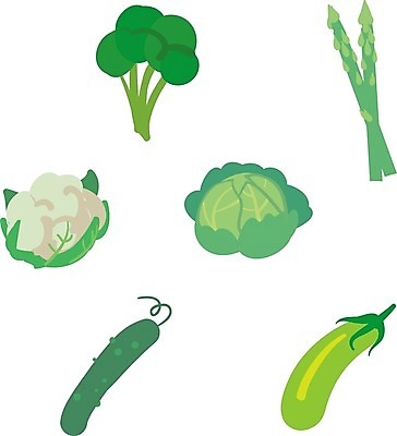 EPS 해외이미지 디자인 음식 줄기 백그라운드 잎 농업 다이어트 채소 과일 일러스트 재료 자연 오이 건강 요리 초록색 여름 농작물 농장 식사 주스 샐러드 수확 흰색 신선 맛 먹기 유기농 양배추 채식 날것 내추럴 주키니 채식주의자 비건 해외202004 해외일러스트 식물 웰빙 계절 산업 음료 컬러 컨셉 모션 생태계 파일형식 벡터 이미지허브