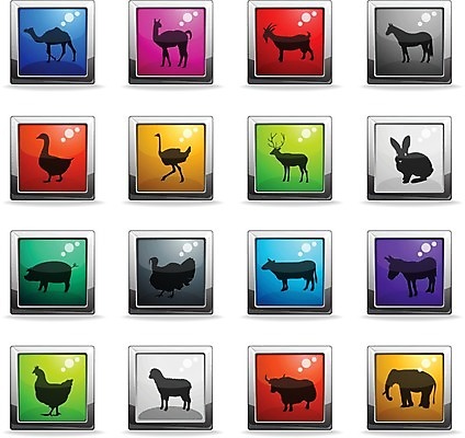 EPS 해외이미지 일러스트 사슴 염소 코끼리 치킨 가축 토끼 양 돼지 소 심볼 정사각형 낙타 거위 당나귀 타조 라마 해외202004 해외일러스트 도형 동물 포유류 조류 반려동물 말_동물 닭고기요리 파일형식 벡터 이미지허브