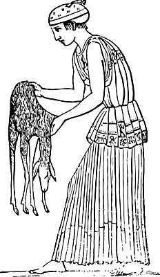 EPS 해외이미지 선 일러스트 미술 검은색 수확 흰색 피부 그림 판화 아기사슴 해외202004 해외일러스트 새끼 컬러 농업 문화예술 사슴 신체부위 파일형식 벡터 이미지허브