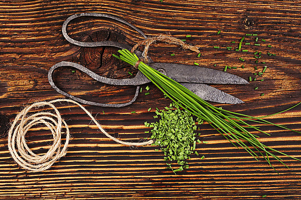 포토 JPG 해외이미지 식물 전통 계절 음식 백그라운드 잎 농업 재료 자연 안테나 건강 요리 사람없음 목재 가로 초록색 갈색 봄 수확 시골 신선 양념 조미료 다발 허브 향신료 보따리 유기농 향 내추럴 쪽파 옛날 해외202004 해외포토 나무 웰빙 산업 컬러 통신 생태계 파 향미료 파일형식 이미지허브