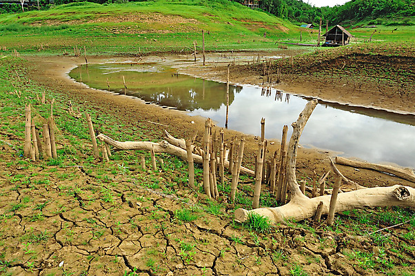 포토 JPG 해외이미지 모양 나무 구름 실루엣 지구 모래 백그라운드 밭 태국 자연 하늘 날씨 건조 풍경 사람없음 초록색 물 여름 글로벌 햇빛 갈색 환경 골짜기 맑음 손상 사막 바위 흰색 신선 뜨거움 황금 큼 지역 가뭄 안심 내추럴 깨짐 땅바닥 파라다이스 해외202004 해외포토 자연요소 식물 계절 아시아 컬러 컨셉 농업 바닥 촬영기법 육류 태양 돌_바위 크기 생태계 파일형식 이미지허브