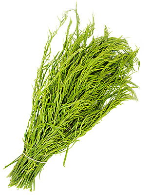 포토 JPG 해외이미지 전통 접시 잡화 아시아 음식 잎 다이어트 채소 재료 태국 건강 요리 사람없음 초록색 한개 머리 주방 식당 계란 식사 저녁식사 활발 젖음 튀김 흰색 신선 맛 아침식사 먹기 허브 준비 싱글 흰배경 유기농 날것 칼로리 건강식 오믈렛 점심식사 아카시아 고립 채식주의자 핸드메이드 해외202004 해외포토 나무 식물 1 식기 웰빙 나라 컬러 백그라운드 컨셉 모션 신체부위 상점 알 계란요리 채식 파일형식 이미지허브