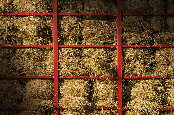 포토 JPG 해외이미지 백그라운드 농업 건조 사람없음 농장 시골 볏짚 수납 뭉치 밀짚 밭일 해외202004 해외포토 산업 짚 파일형식 이미지허브