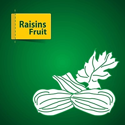 EPS 해외이미지 라이프스타일 디자인 음식 조각 스티커 오렌지 일러스트 자연 딸기 포도 수박 건조 바나나 건강 초록색 라벨 정원 주스 수확 신선 체리 시장 달콤 맛 사과 만화 레몬 파인애플 그림 클립 산딸기 망고 고립 배려 살구 숙성 채식주의자 비건 해외202004 해외일러스트 음료 컬러 컨셉 농업 과일 프레임 생활 열대과일 생태계 채식 파일형식 벡터 이미지허브