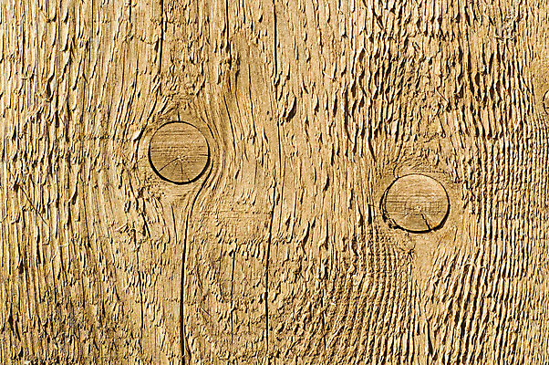 포토 JPG 해외이미지 나무 디자인 산업 벽 가구 패턴 부분 자연 표면 날씨 바닥 프레임 사람없음 야외 목재 장식 줄무늬 시골 소나무 판넬 거친 널 숲 낟알 부식 질감 결 내추럴 구식 수목 옛날 줄서기 효과 해외202004 해외포토 식물 생활용품 무늬 재료 모션 생태계 파일형식 이미지허브