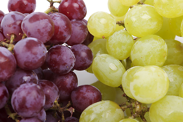 포토 JPG 해외이미지 식물 열매 음식 줄기 백그라운드 다이어트 채소 과일 포도 건강 씨앗 사람없음 초록색 와인 보라색 침묵 주스 젖음 흰색 물방울 신선 달콤 다발 철 포도밭 포도나무 섬유 건포도 고립 숙성 칼슘 해외202004 해외포토 음료 컬러 밭 주류 소리 직물 맛 과일나무 건과일 파일형식 이미지허브