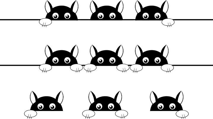 EPS 해외이미지 동물 응시 일러스트 표면 반려동물 컴퓨터 검은색 고양이 흰색 잡기 판넬 무서움 엿보기 호기심 오르기 긴장 위반 숨기 스파이 해외202004 해외일러스트 시선 감정 컬러 컨셉 포유류 모션 전자제품 파일형식 벡터 이미지허브