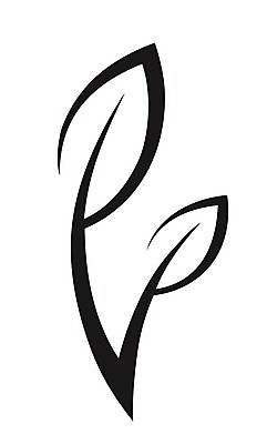 EPS 해외이미지 모양 식물 디자인 실루엣 커피 컨셉 단풍 잎 꽃무늬 곡선 일러스트 자연 추상 미술 그래픽 여름 환경 검은색 봄 소용돌이 가을 흰색 차 심볼 사인 그림 브런치 윤곽 내추럴 고립 떠남 엘리먼트 스타일 해외202004 해외일러스트 계절 꽃 음료 선 컬러 무늬 모션 문화예술 촬영기법 식사 회오리 생태계 파일형식 벡터 이미지허브