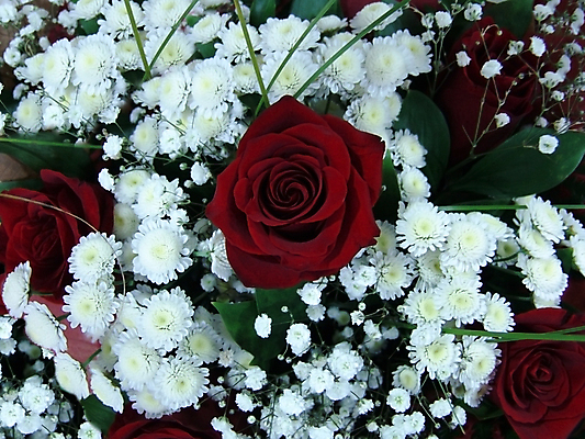 포토 JPG 해외이미지 식물 디자인 여자 꽃잎 꽃 분홍색 꽃다발 결혼 백그라운드 꽃무늬 자연 벽지 결혼식 휴가 발렌타인데이 선물 사랑 사람없음 장식 빨간색 장미 정원 벚꽃 흰색 축하 인사 신선 신용카드 개화 다발 배열 심볼 질감 해외202004 해외포토 감정 컬러 컨셉 무늬 데이이벤트 사람 이벤트 금융 예절 생태계 파일형식 이미지허브