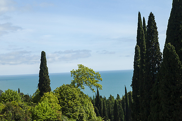 포토 JPG 해외이미지 나무 식물 공원 꽃 바다 여행 건축양식 자연 하늘 휴가 휴식 열대 산 손바닥 풍경 잔디 사람없음 야외 초록색 물 여름 파란색 교회 여행객 정원 검은색 흰색 스페인 휴양지 정사각형 지역 남쪽 내추럴 로스앤젤레스 안달루시아 이국적 해외202004 해외포토 자연요소 도형 손 계절 공공시설 건축 유럽 컬러 컨셉 종교건축 사람 건물 미국 장소 방향 생태계 파일형식 이미지허브