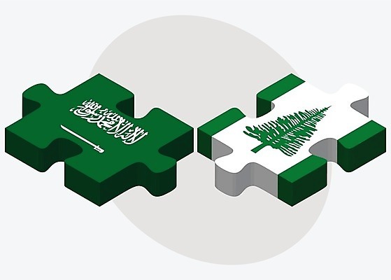 EPS 해외이미지 조각 섬 컨셉 일러스트 비즈니스 관계 아프리카 협력 함께함 사람 그래픽 3D 깃발 퍼즐 연결 결합 접속 오브젝트 흰배경 영토 아라비아 나눔 해결 사우디아라비아 고립 아랍어 왕국 전국 정부 정치 통일 해외202004 해외일러스트 나라 백그라운드 중동 흰색 디지털합성 파일형식 벡터 이미지허브