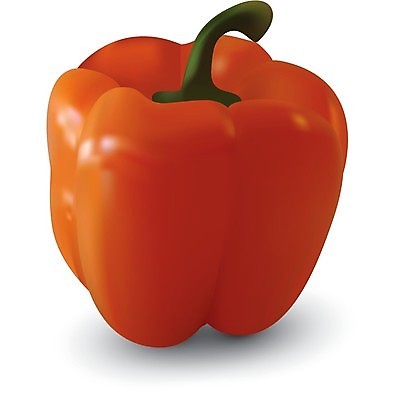 EPS 해외이미지 식물 라이프스타일 계절 문화 음식 줄기 농업 채소 오렌지 일러스트 재료 자연 파프리카 건강 요리 경사 빨간색 초록색 여름 빛 활발 에너지 종 흰색 신선 달콤 맛 먹기 오브젝트 준비 싱글 상쾌 그림 유기농 날것 후추 망사 고립 숙성 엘리먼트 채식주의자 해외202004 해외일러스트 웰빙 감정 산업 컬러 컨셉 과일 모션 생활 직물 향신료 생태계 채식 파일형식 벡터 이미지허브