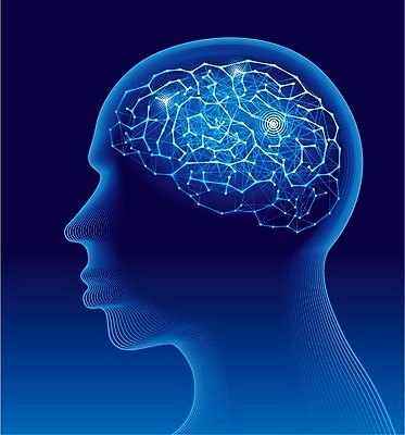 EPS 해외이미지 남자 실루엣 과학 생각 일러스트 해부 상상 미래 아이디어 창조 한명 성인 파란색 컬러풀 머리 건강관리 추위 투명 예측 분석 명상 뇌 조언 지능 해외202004 해외일러스트 1 컬러 컨셉 의학 촬영기법 건강 관리 사람 신체부위 파일형식 벡터 이미지허브