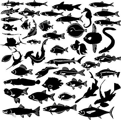 EPS 해외이미지 호수 일러스트 어류 강 초밥 참치 장어 도미 송어 청어 해외202004 해외일러스트 수중동물 일본음식 파일형식 벡터 이미지허브