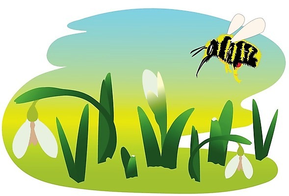 EPS 해외이미지 식물 디자인 계절 꽃 백그라운드 잎 꽃무늬 일러스트 자연 건강 야외 초록색 환경 봄 벚꽃 흰색 인사 신선 신용카드 개화 닫기 5월 순수 원예 고립 스노드롭 호박벌 해외202004 해외일러스트 컬러 컨셉 무늬 모션 취미 금융 예절 날짜 벌_곤충 생태계 파일형식 벡터 이미지허브