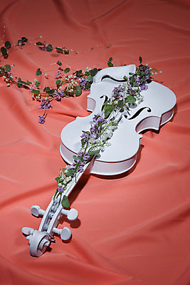 포토 JPG 해외이미지 꽃 분홍색 사람없음 우아함 덩굴 천 바이올린 해외202004 해외포토 식물 컬러 컨셉 현악기 직물 파일형식 이미지허브